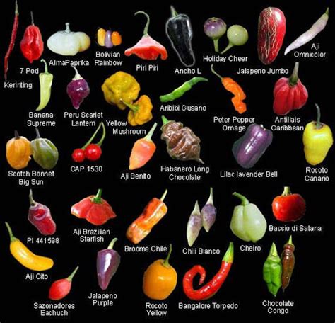 chili's philippines|different chili types.